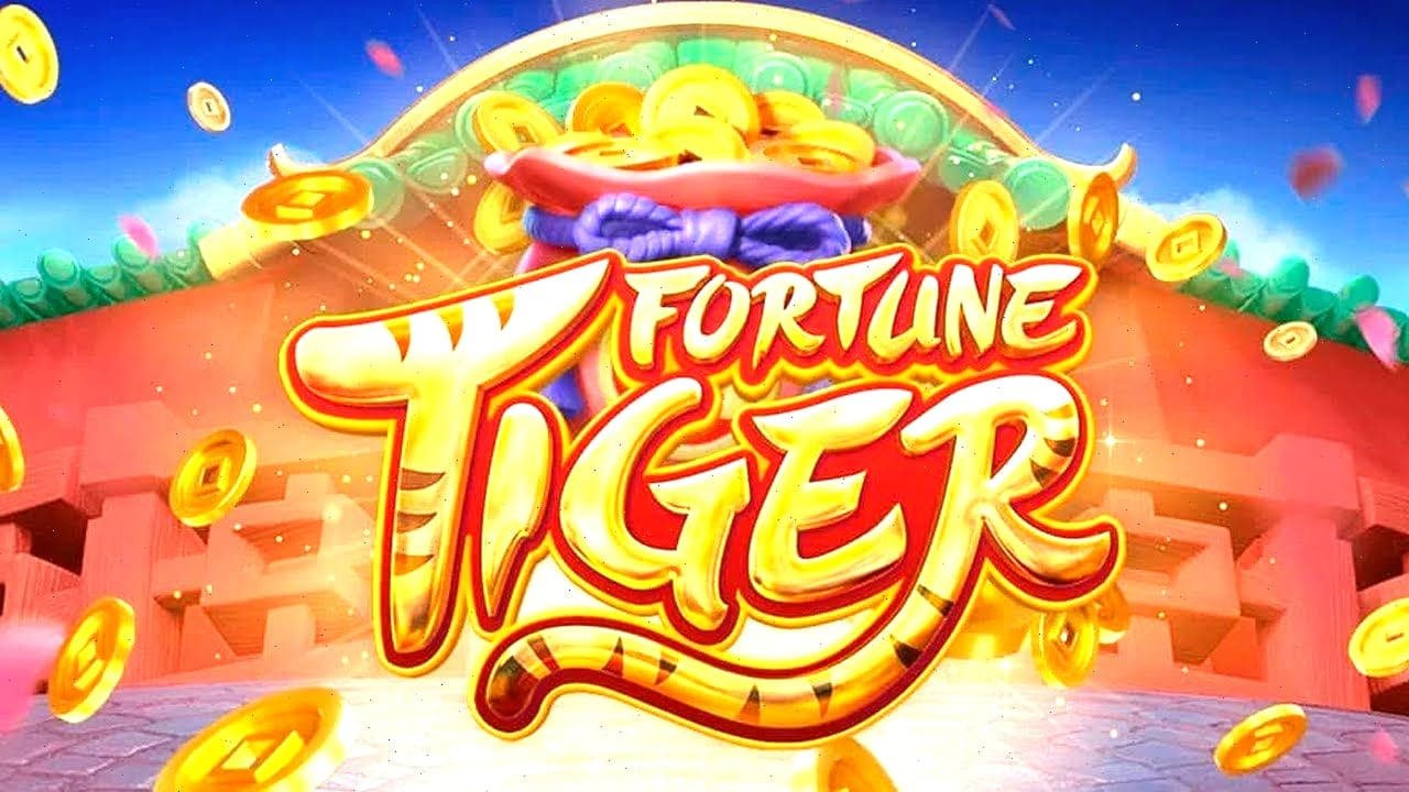 333bet19