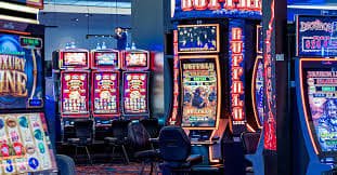 333bet19